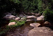 13 CreekBed